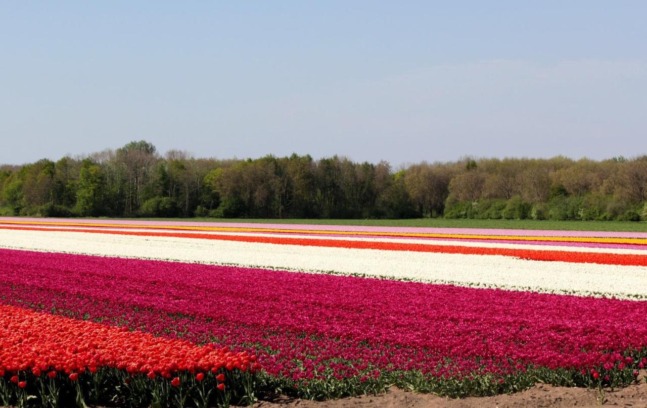 Finca Noordwijk Downtown โนร์ดวิก ภายนอก รูปภาพ